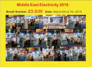 Middle East Electricity 2019